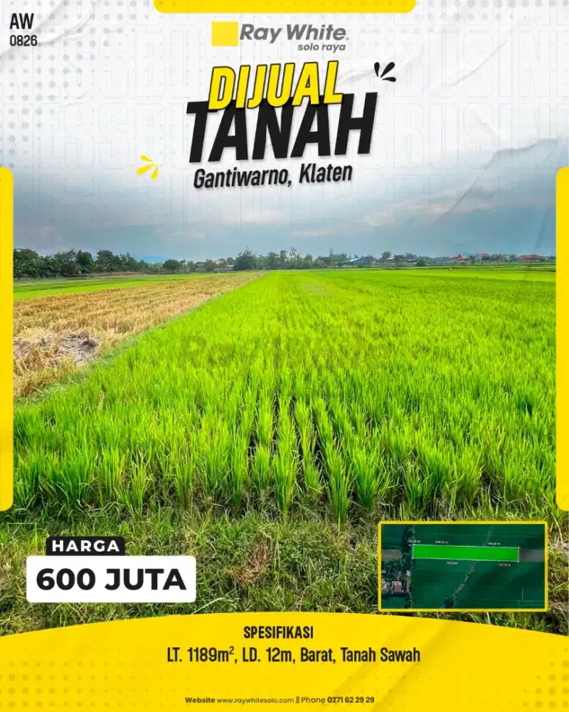 Sawah hijau butuh uang di jual cepat tanpa perantara