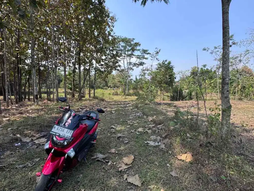 TANAH MURAH 1JUTAAN KARANGPLOSO  MALANG