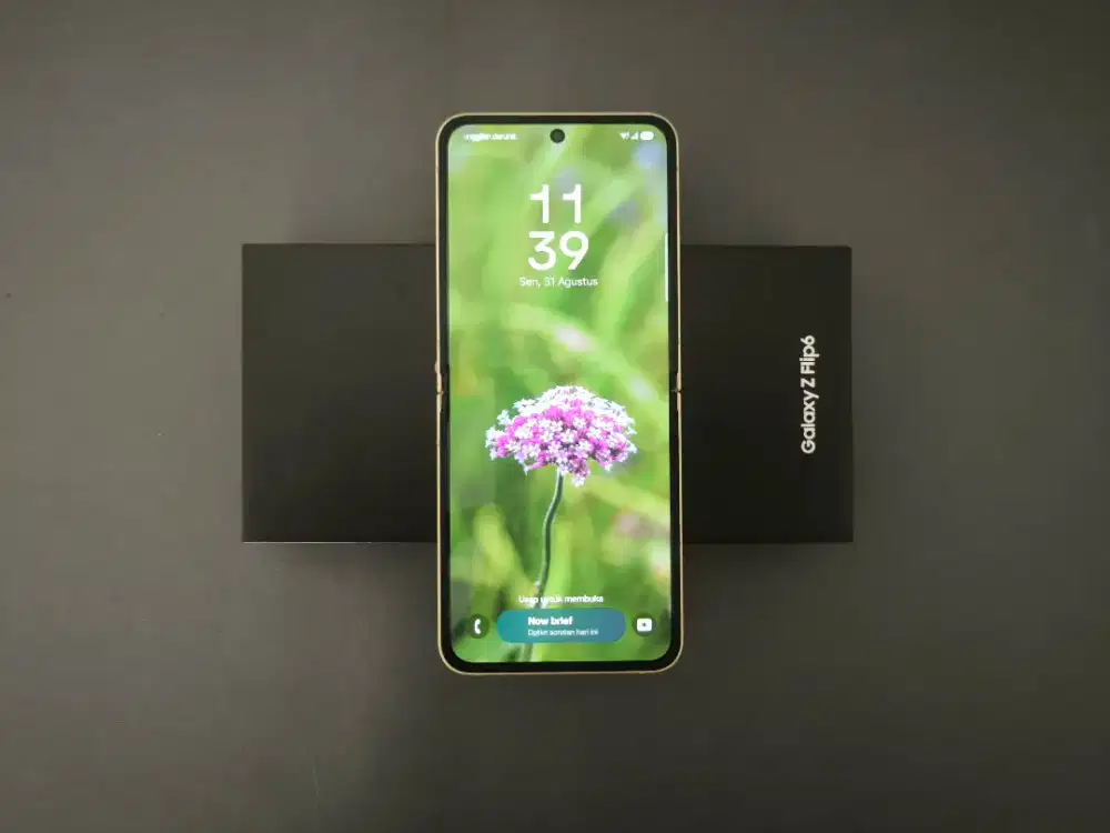 Samsung Galaxy Z Flip 6 12/256 - Fullset Istimewa, Ex Garansi Resmi