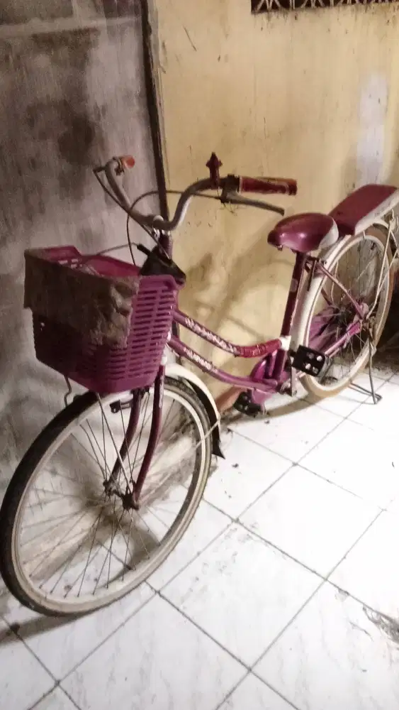 Sepeda mini jiyang masih