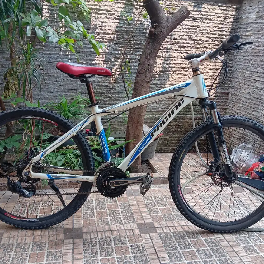 Sepeda gunung pacific esplendid 5.0 (aloy)