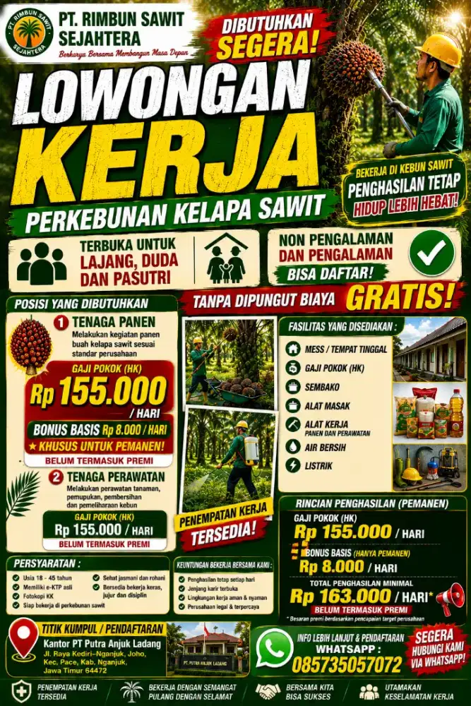 Lowongan kerja merantau di perkebunan kelapa sawit