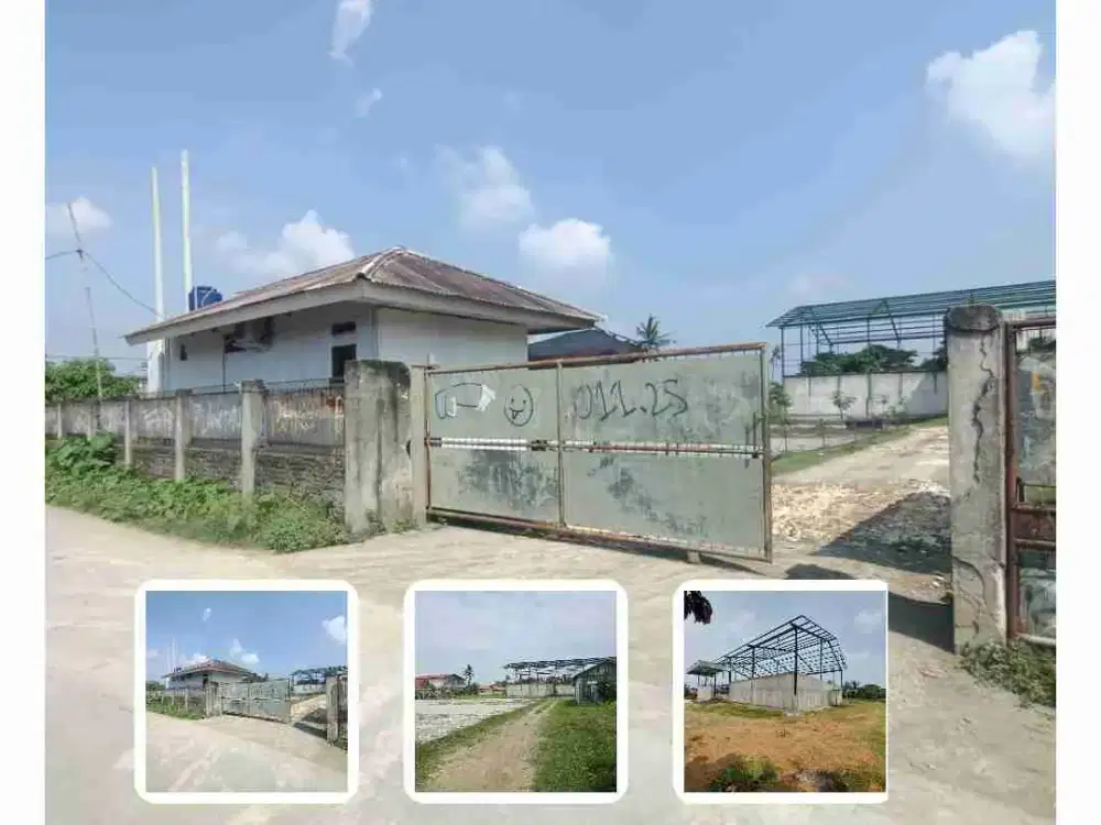 Dijual Tanah 1,5 hektar Rengasdengklok