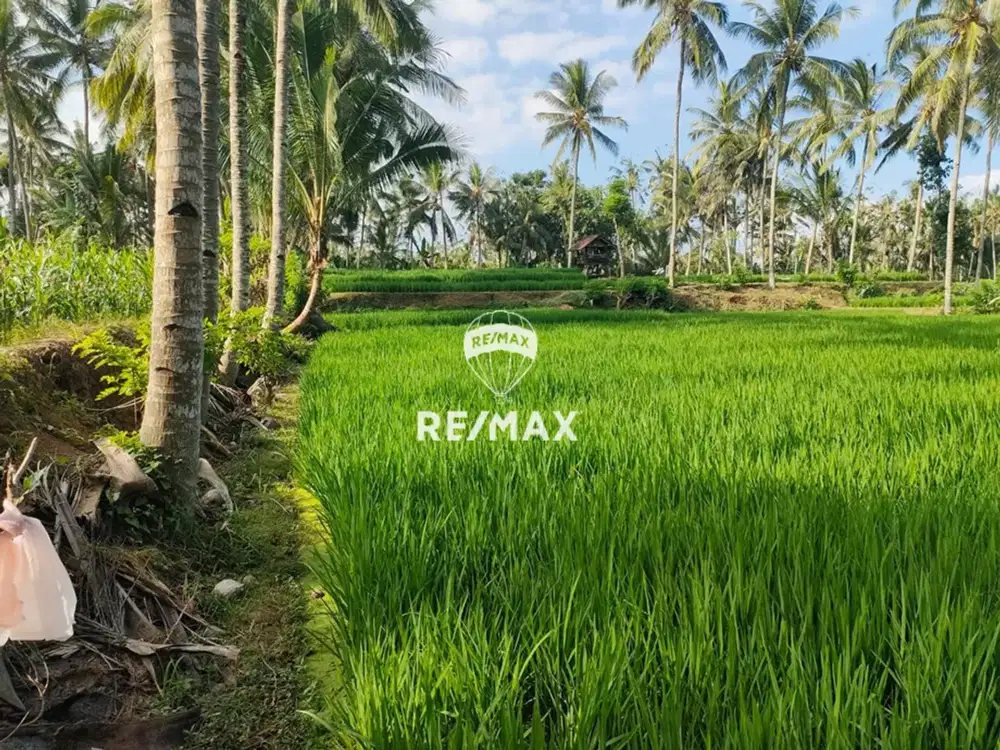 DIJUAL TANAH - KOPENBAYAH GIRI BANYUWANGI