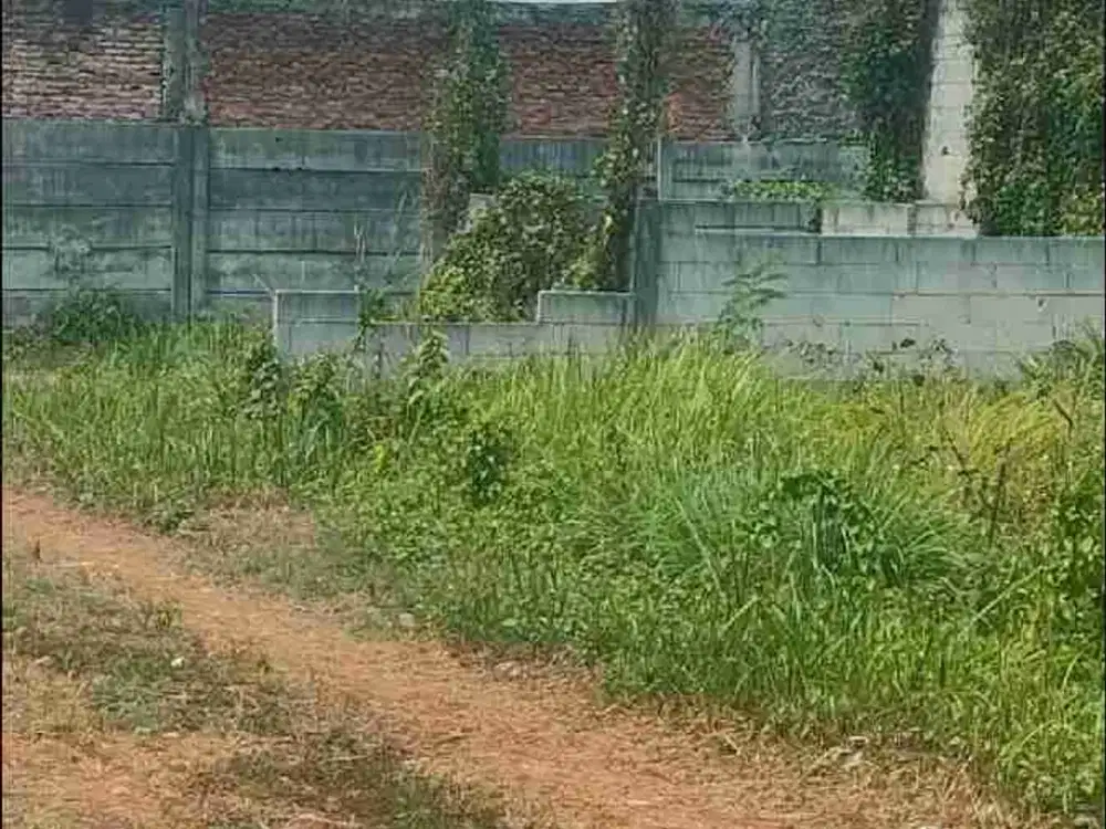 jual tanah kaplingan di pondok petir