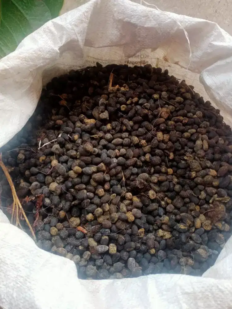 Pupuk tai kambing kering ukuran karung 50Kg berat bersih 16.5Kg