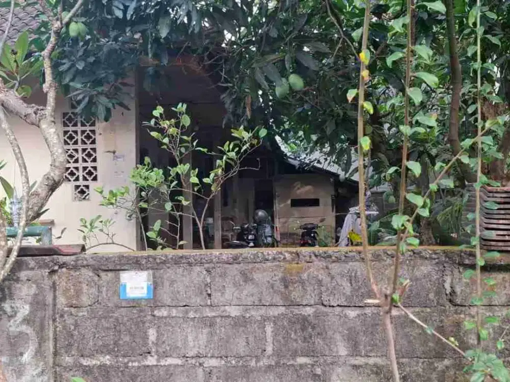 Jual Tanah Luas Kecil 164m/1.64 are Jl Tukad Pancoran Denpasar selatan area Tidak Banjir Cocok di Jadikan Hunian/ Koskosan
