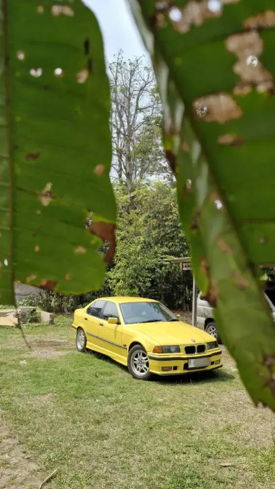 BMW e36 318i 1997