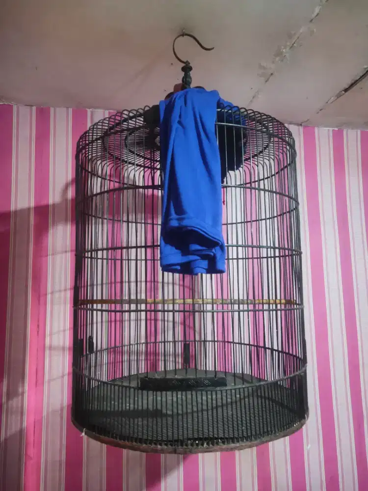 Sangkar Burung Murai