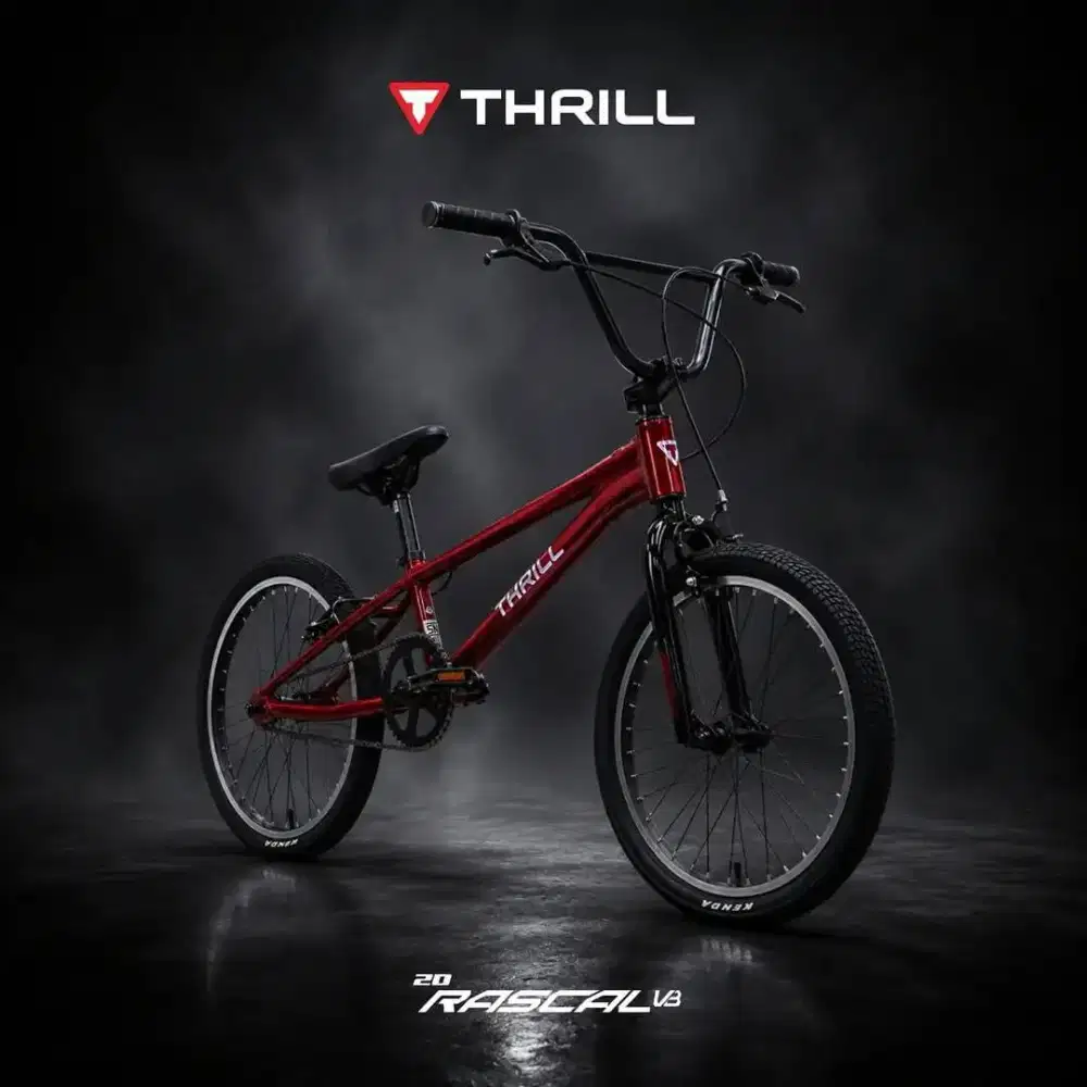 Sepeda THRILL 20 BMX RASCAL VB