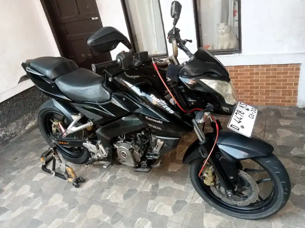 Pulsar ns200 Murmer aja