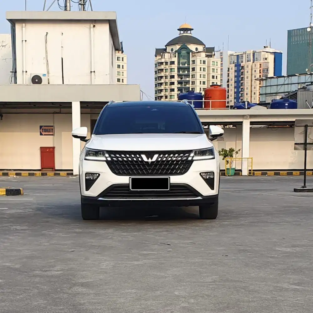 WULING ALVES SX 2023 PAJAK PANJANG