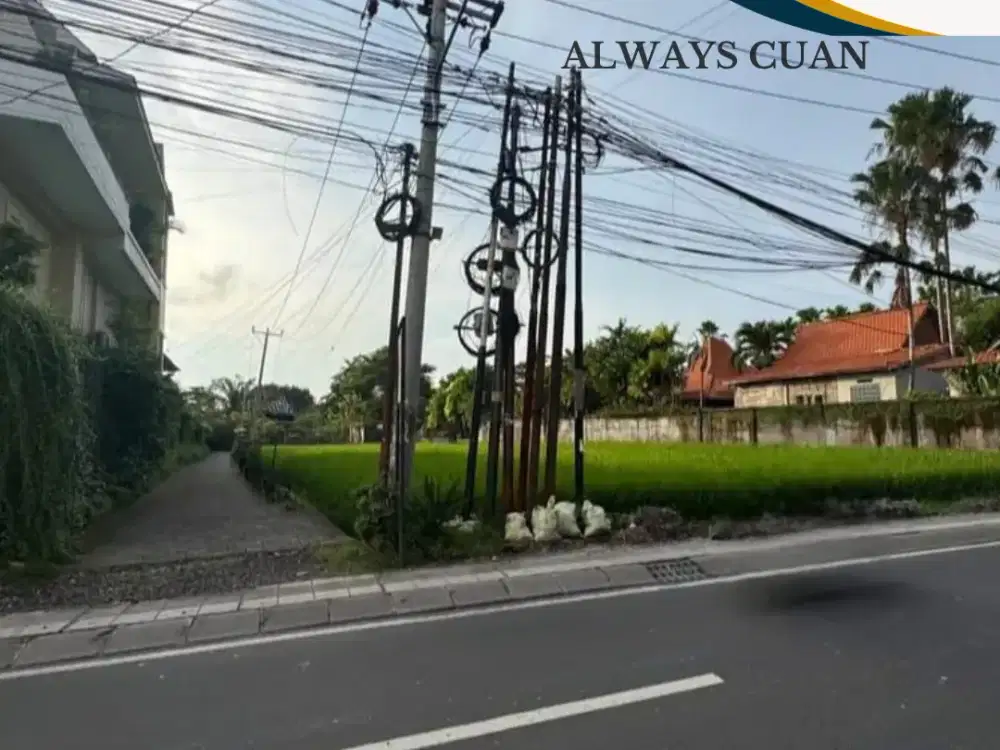 Tanah Disewakan (Leasehold) – Berawa, Canggu, Kuta Utara
