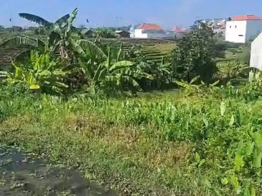 Tanah Kosong Siap Bangun Tibubeneng Canggu Kuta Utara