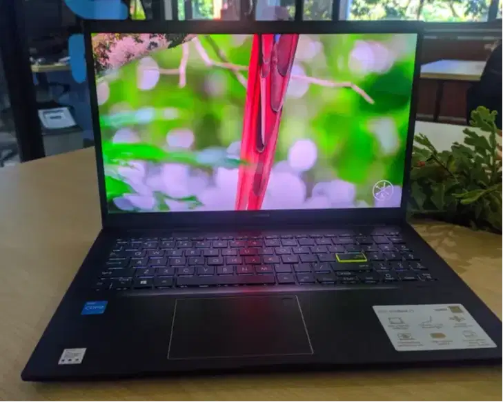ASUS VivoBook 15 OLED K513 Laptop (11th Gen i5 / 8GB RAM / 512GB SSD)