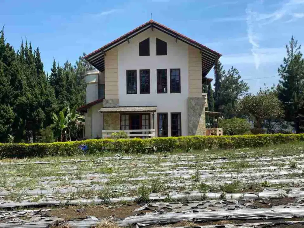 Dijual Tanah Kavling Murah di komplek Villa istana Bunga Lembang Bandung