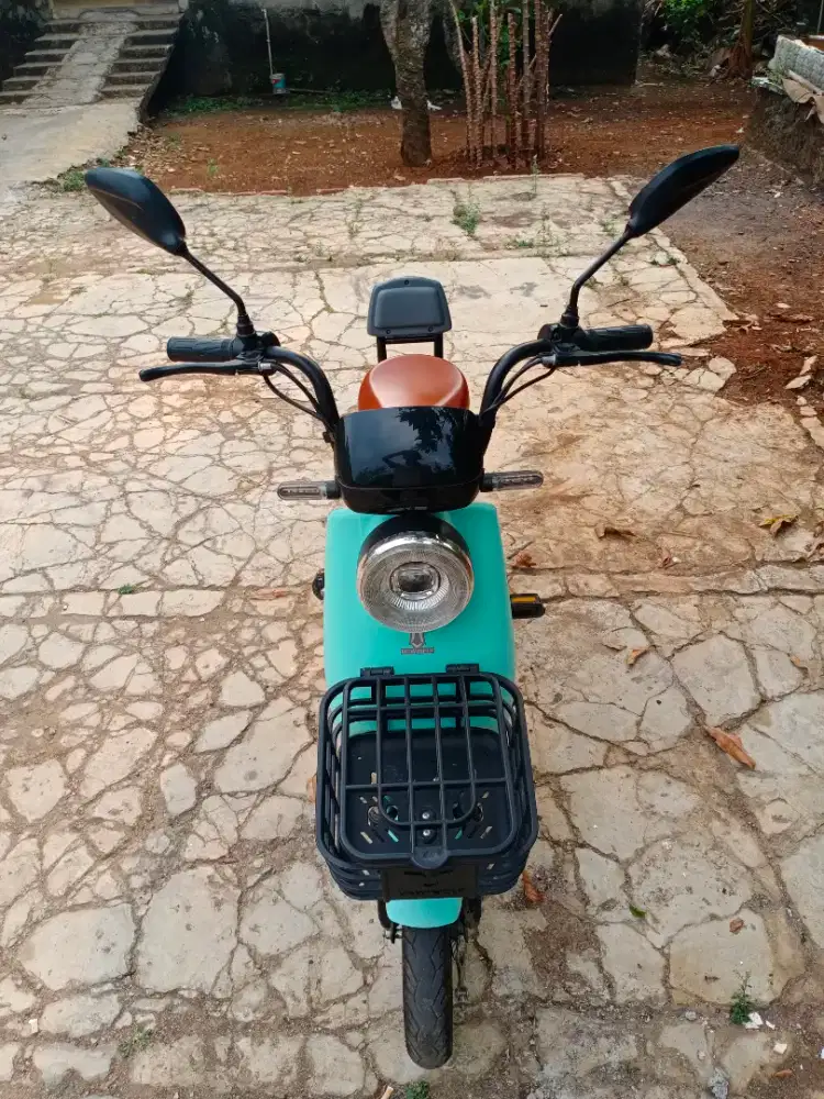 Sepeda listrik u winfly D7S
