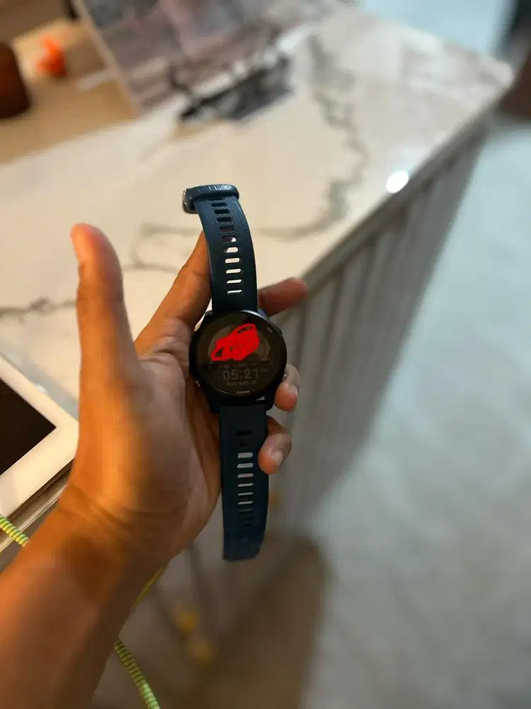 Jual Santai Garmin FR 255