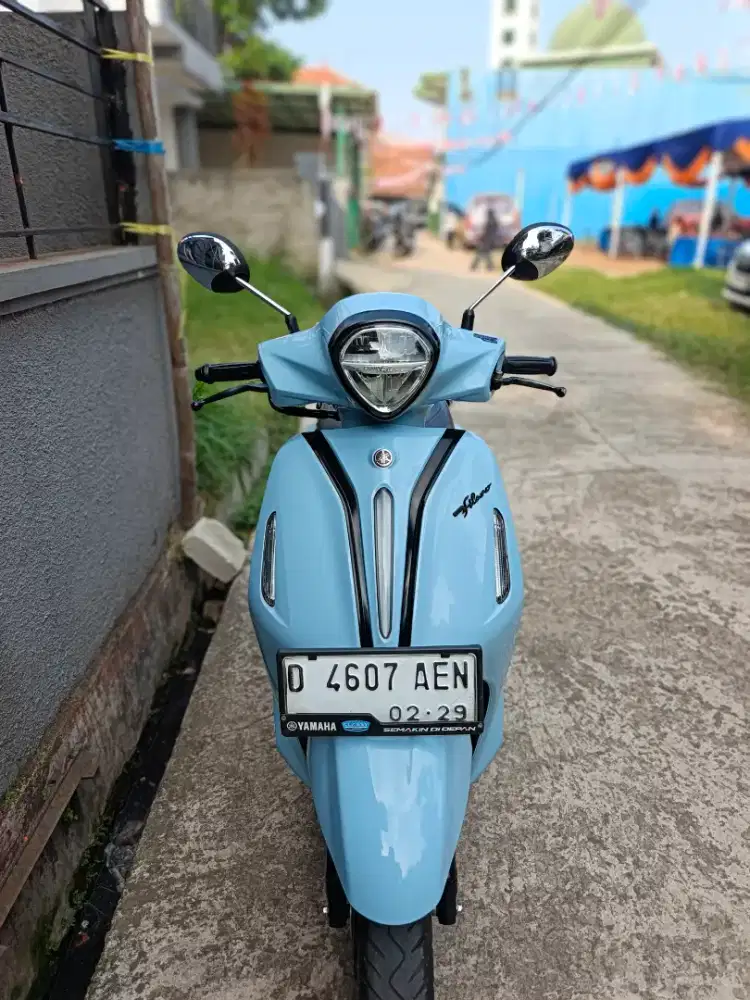 Grand filano neobird