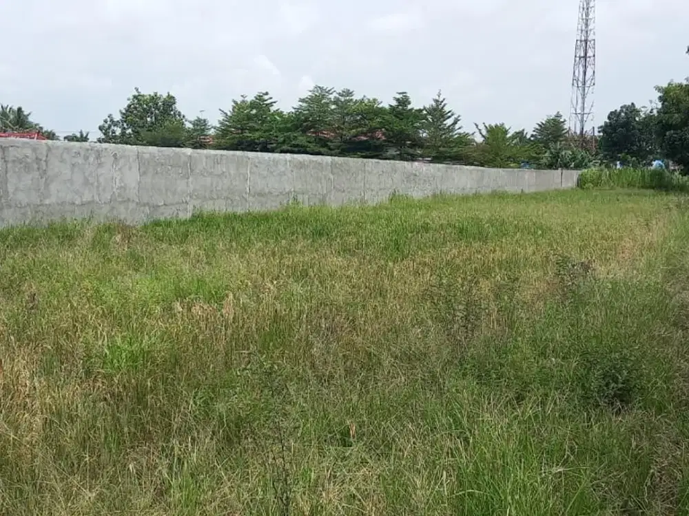 DIJUAL TANAH LUAS & STRATEGIS DI BAGAN PERCUT!