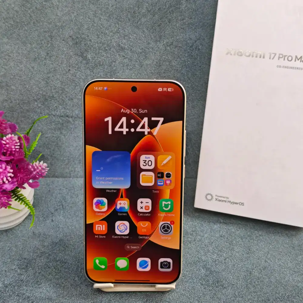 Xiaomi 17pm 16 512