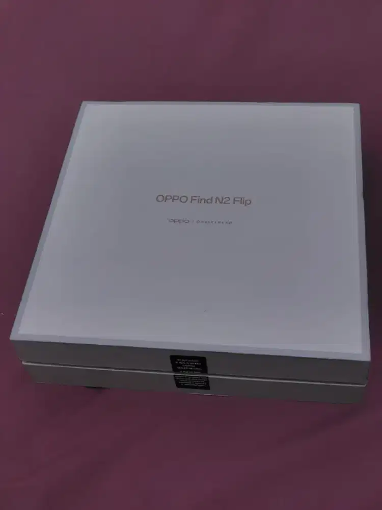 Oppo find n2 flip