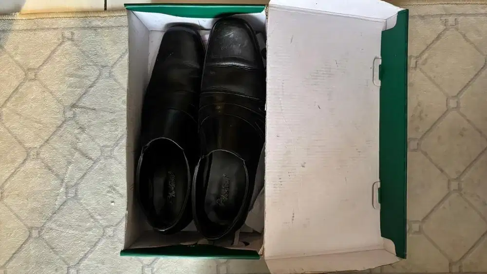 pantopel dr kevin 42
