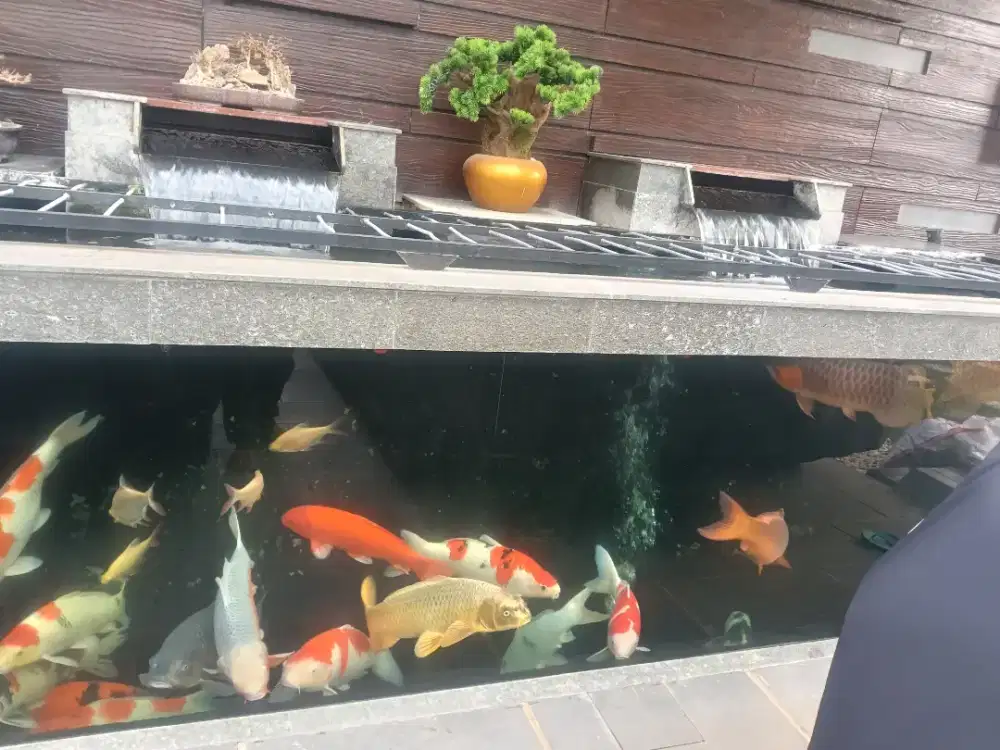 Kolam minimalis kaca - kolam minimalis