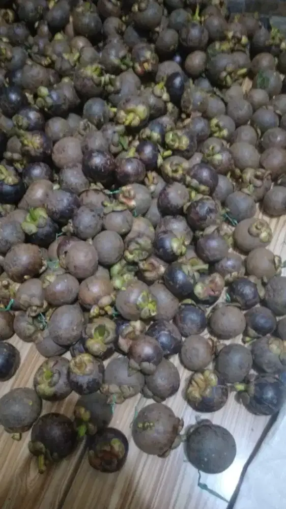 Buah mangis per 2 kilo