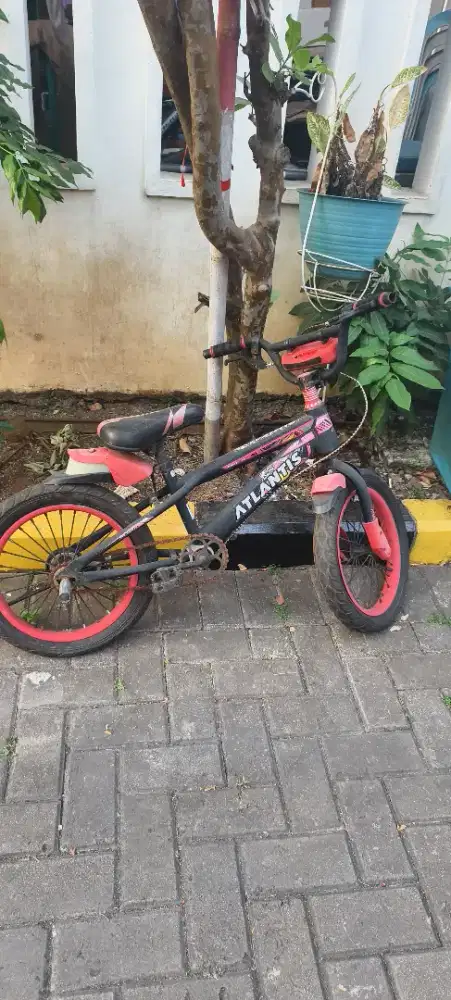 Sepeda anak 505