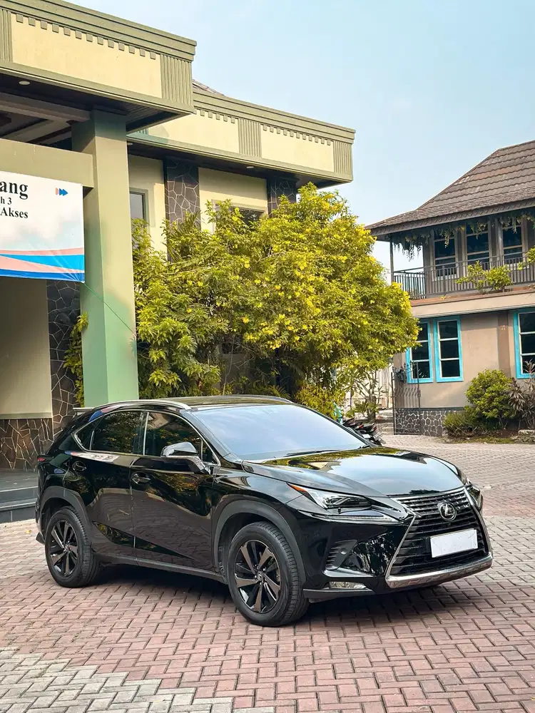 LEXUS NX300 LUXURY AT 2019