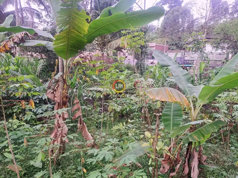 Kavling di Jl RAYA PLANTUNGAN ~ KENDAL Jawa Tengah
