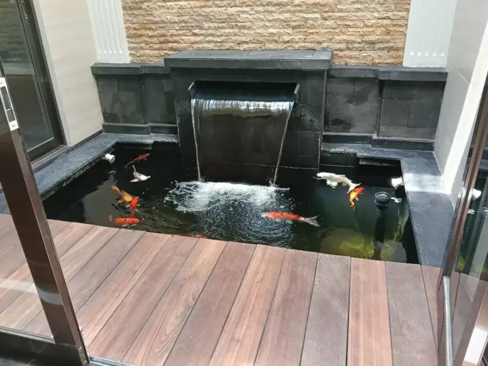 Kolam minimalis - kolam ikan koi minimalis