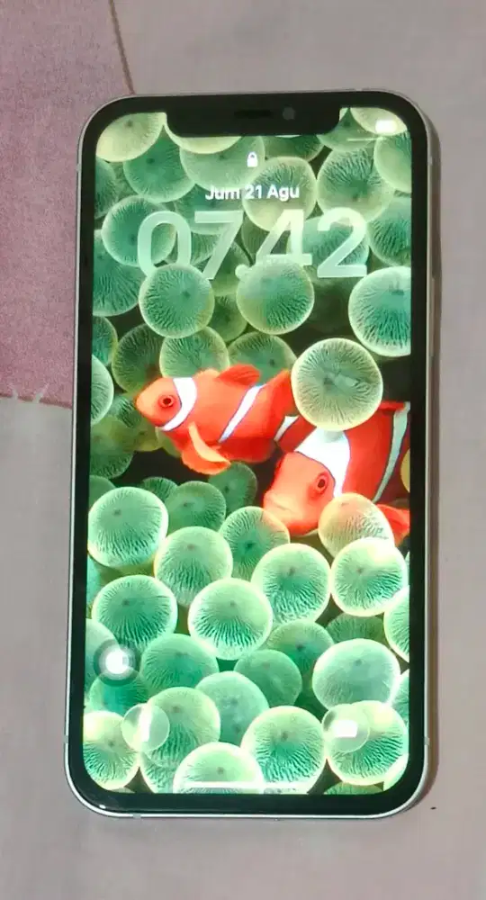 Iphone 12 128 gb