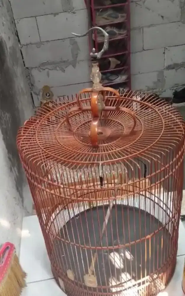 Kandang Burung Murai