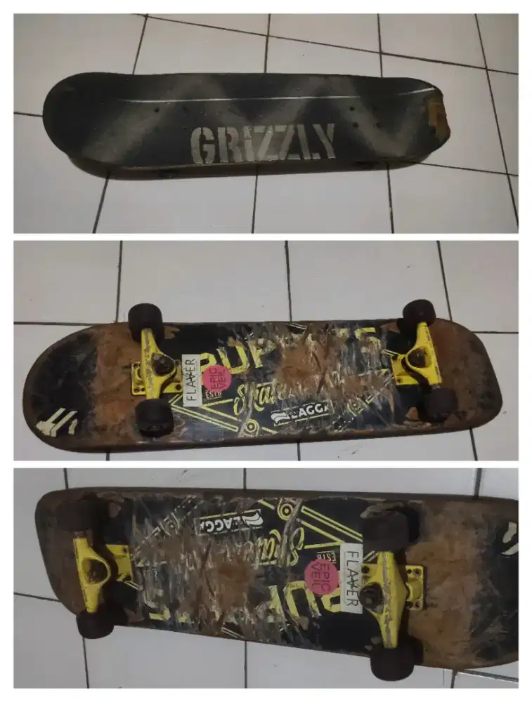Skateboard Grizzly