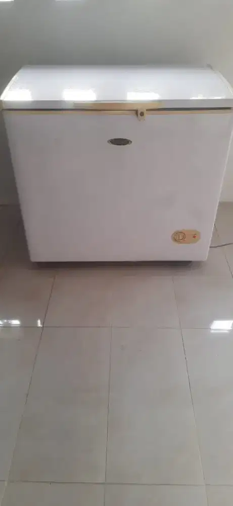 Frizer box 250Liter merk Frigigate