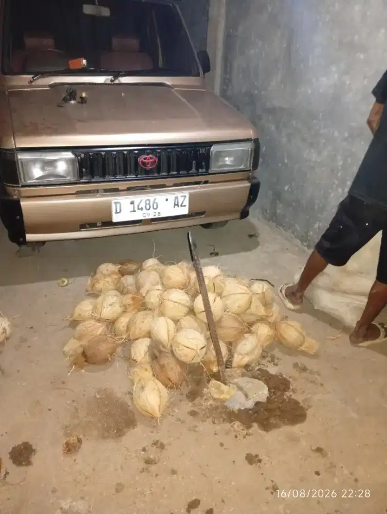 Kelapa tua / santan