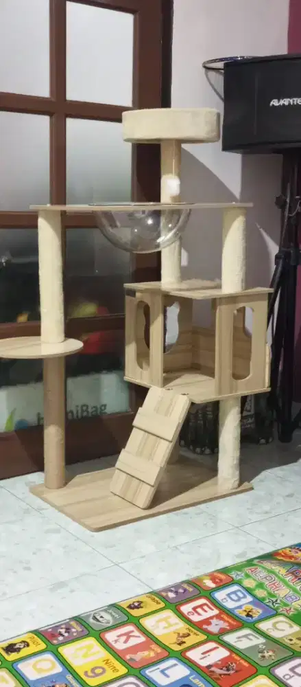 area bermain kucing