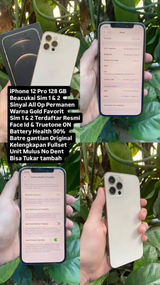 iPhone 12 Pro Beacukai