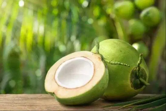 Kelapa muda, bisa cod