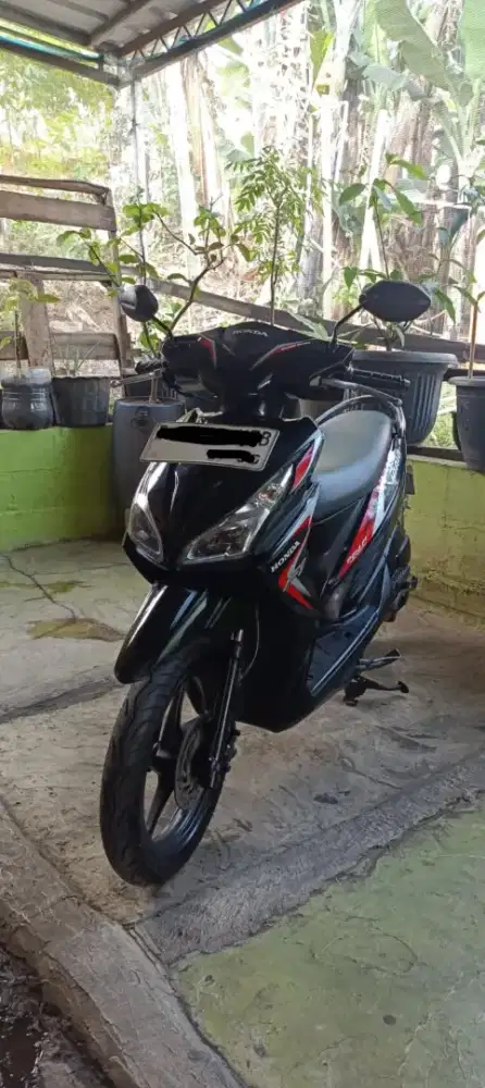 Vario Agnes 2014