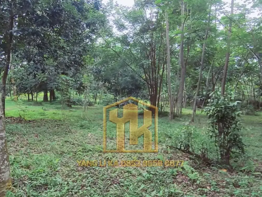 Jual Cepat Tanah Lahan Perkebunan Murah Siap Bangun Dengan Luas 3,2 Ha Di Mekargalih, Cijantung Purwakarta Jawa Barat