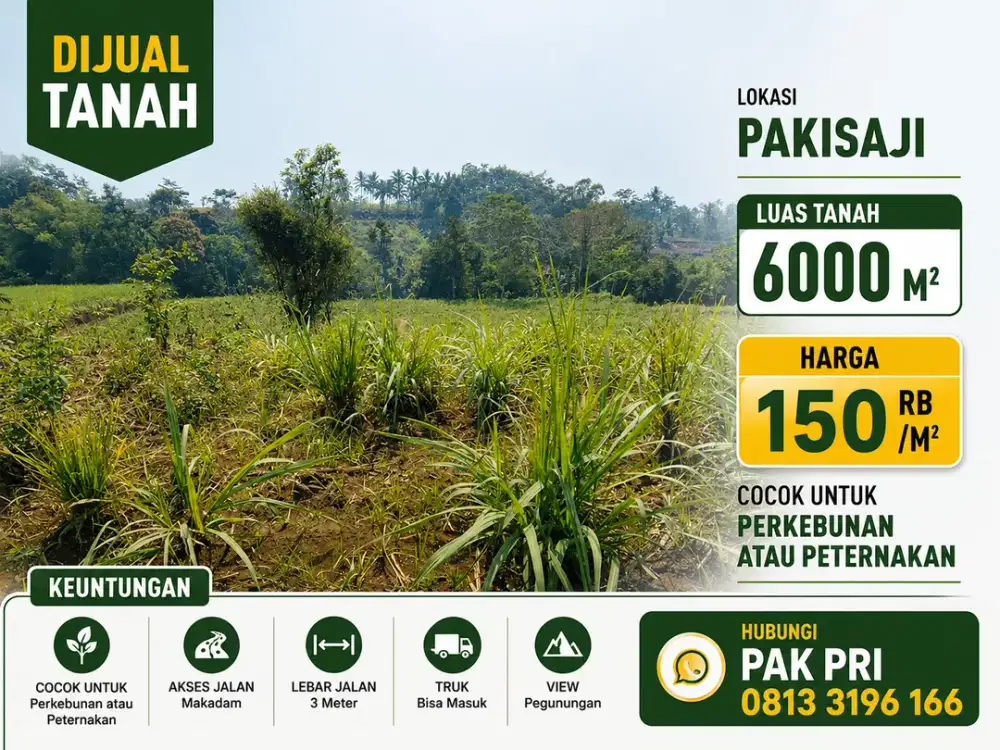 Tanah 6000 m2 Pakisaji View Pegunungan Cocok Kebun dan Peternakan