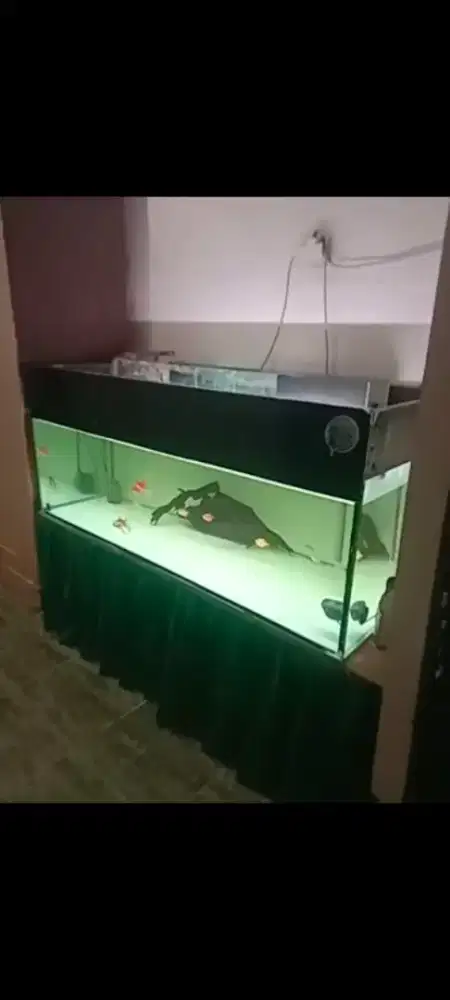 Dijual Aquarium