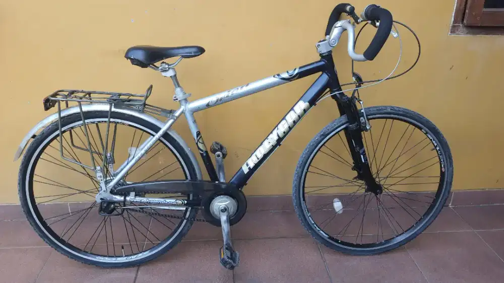 Polygon Orion Hybrid Kalcer Vintage