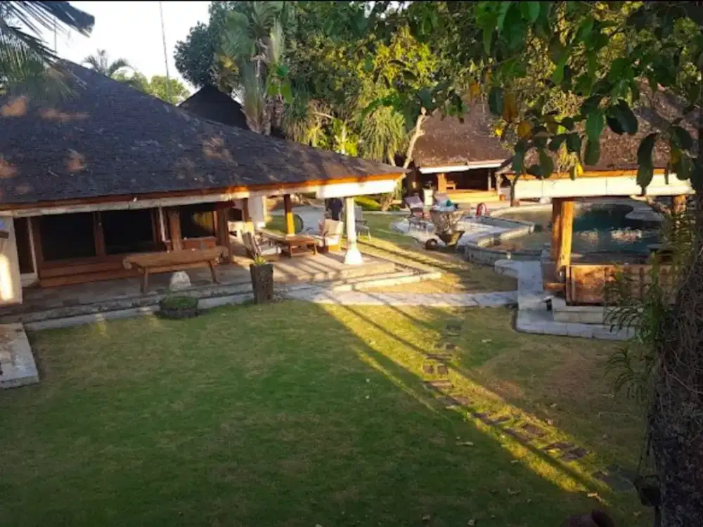 Tanah Strategis 13 Are Uma Buluh Kayu Tulang Utara,Canggu - Badung