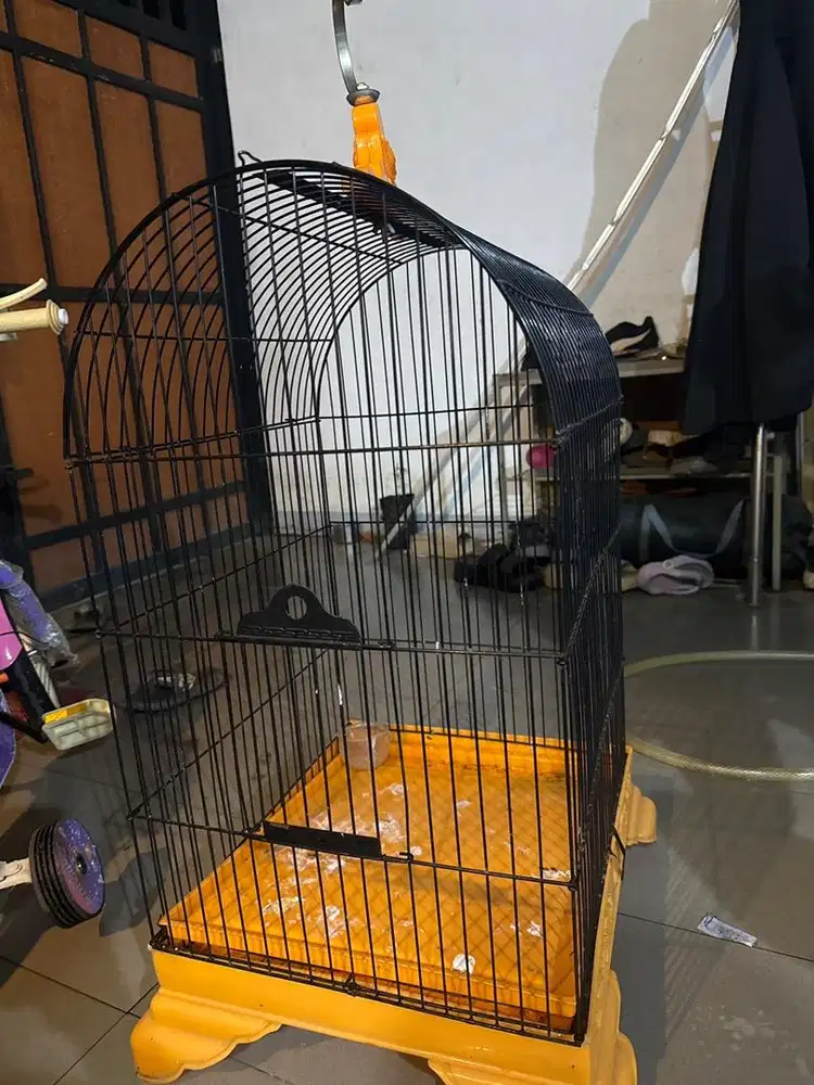 Dijual Kandang Burung