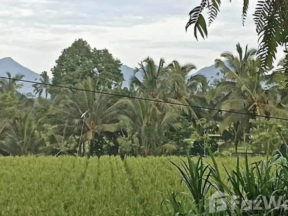 Land for sale in Ubud, Bali