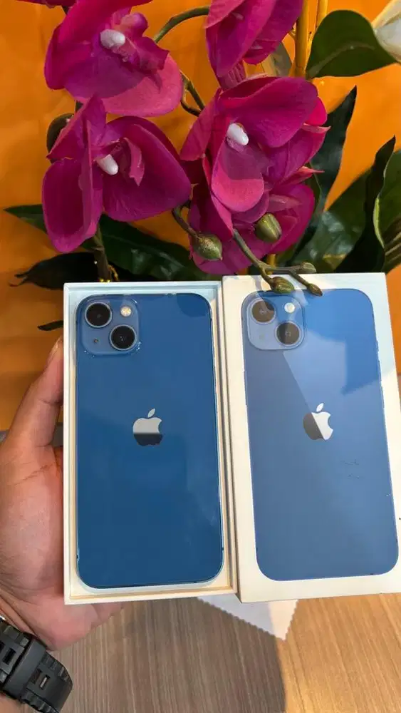 iphone 13 256gb resmi indo